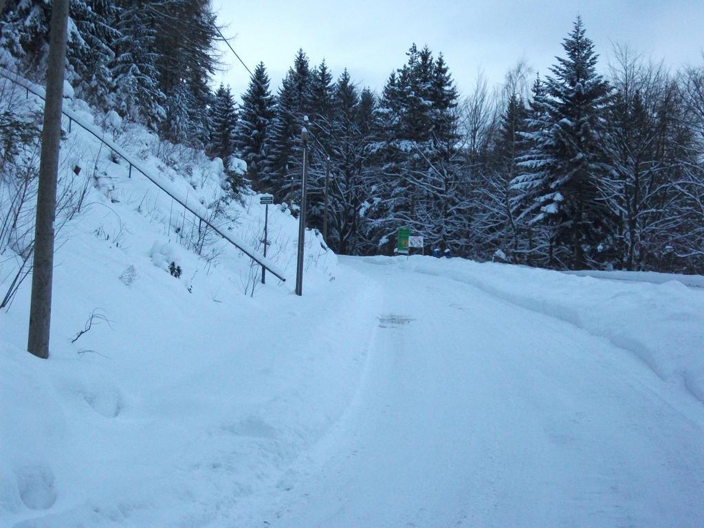 Hotel Am Wald -Garni- Elgersburg ภายนอก รูปภาพ